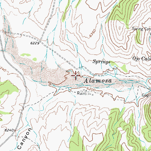 Topographic Map of Wild Bull Canyon, NM