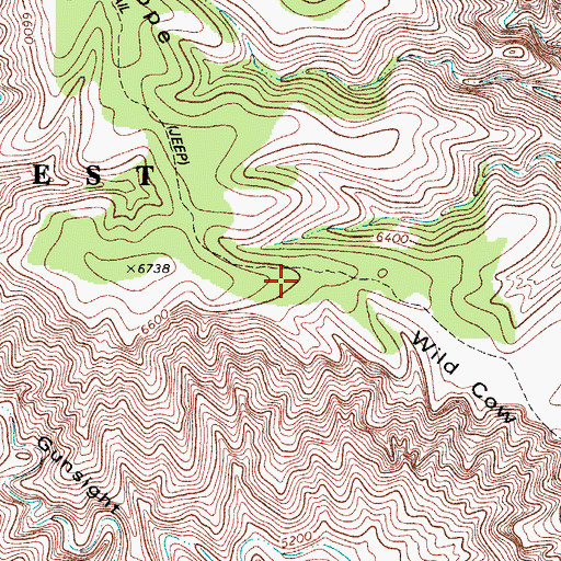 Topographic Map of Wild Cow Mesa, NM