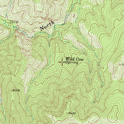 Topographic Map of Wild Cow Spring, NM