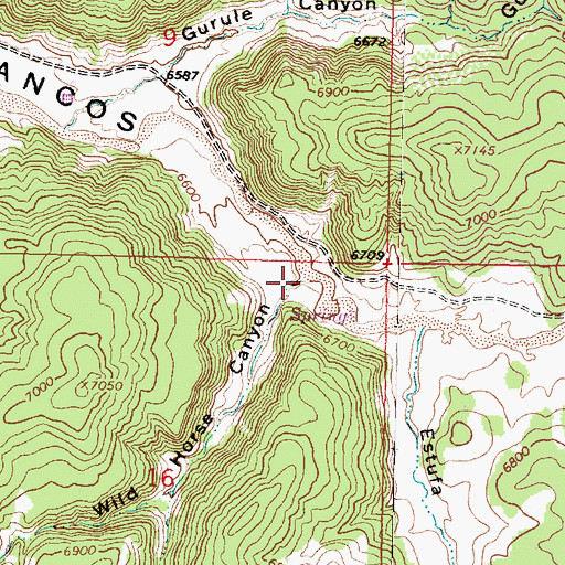 Topographic Map of Wild Horse Canyon, NM