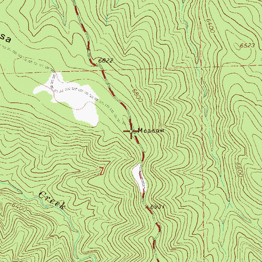 Topographic Map of Wild Horse Mesa, NM
