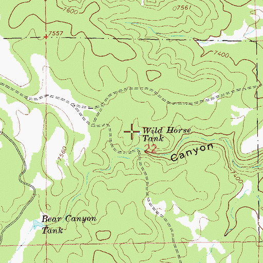 Topographic Map of Wild Horse Tank, NM