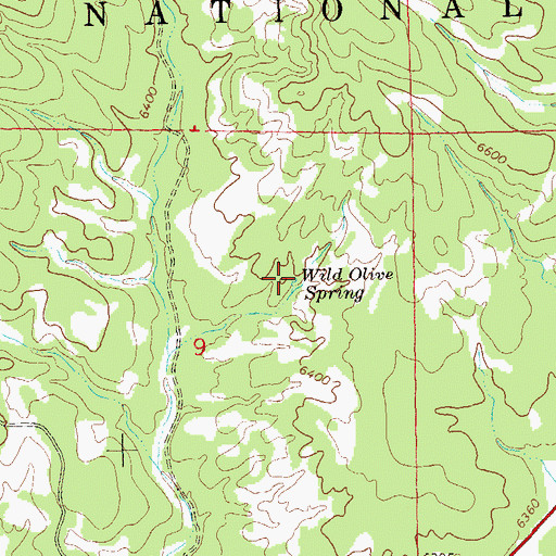Topographic Map of Wild Olive Spring, NM