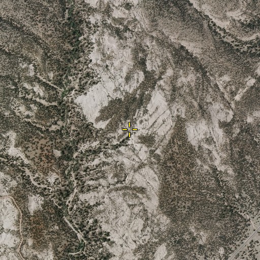 Aerial/Satellite Image of Wild Olive Spring, NM