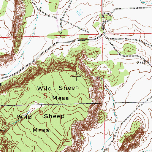 Topographic Map of Wild Sheep Mesa, NM