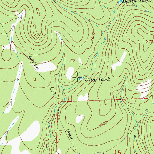 Topographic Map of Wild Tank, NM