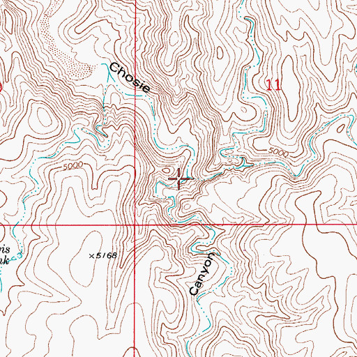 Topographic Map of Wildcat Canyon, NM