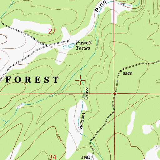 Topographic Map of Wildcat Draw, NM