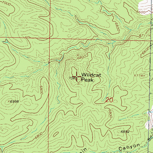 Topographic Map of Wildcat Peak, NM