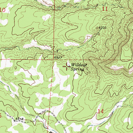 Topographic Map of Wildcat Spring, NM