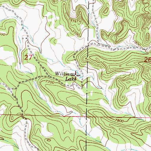 Topographic Map of Williams Lake, NM