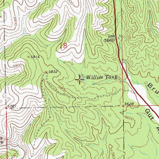Topographic Map of Willies Tank, NM