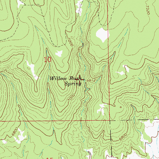 Topographic Map of Willow Bush Spring, NM