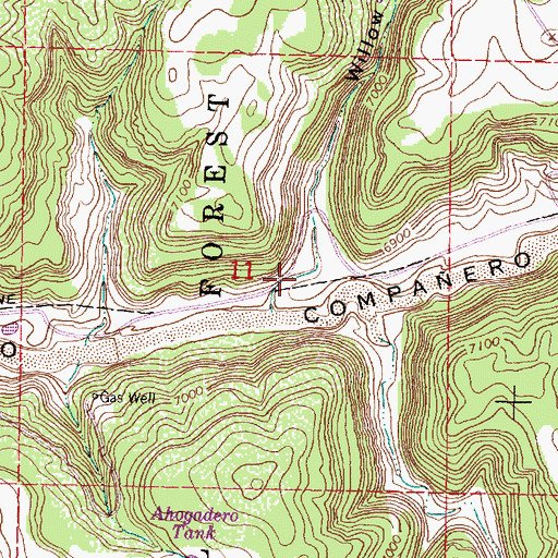 Topographic Map of Willow Canyon, NM