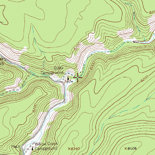 Topographic Map of Willow Creek, NM