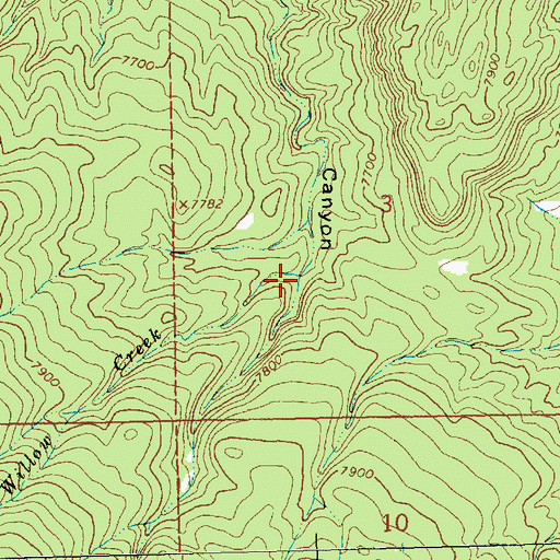 Topographic Map of Willow Creek, NM