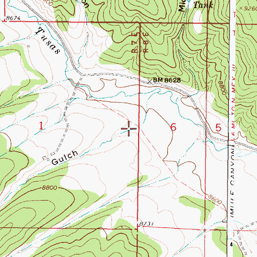 Topographic Map of Willow Gulch, NM