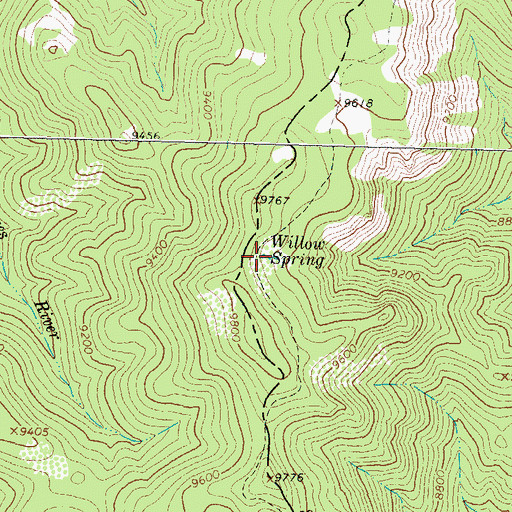Topographic Map of Willow Spring, NM