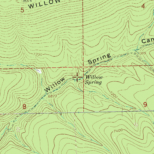 Topographic Map of Willow Spring, NM