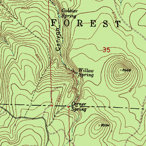 Topographic Map of Willow Spring, NM