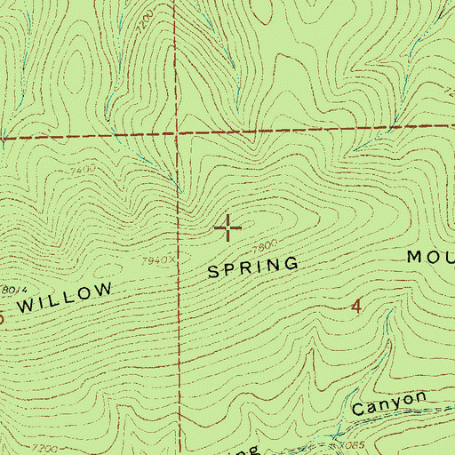 Topographic Map of Willow Spring Mountain, NM