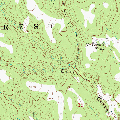 Topographic Map of Windfall Canyon, NM