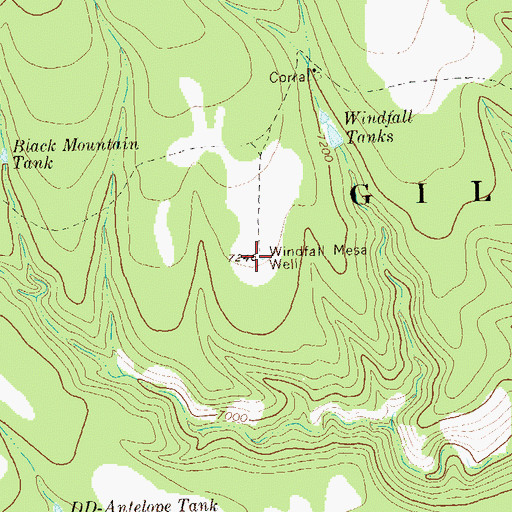 Topographic Map of Windfall Mesa Well, NM
