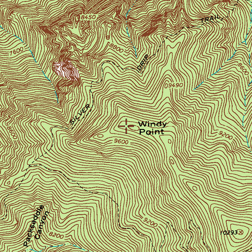 Topographic Map of Windy Point, NM