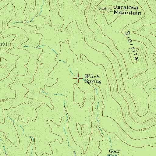 Topographic Map of Witch Spring, NM