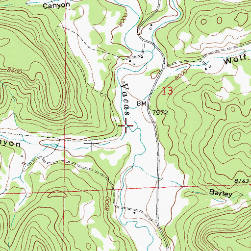 Topographic Map of Wolf Canyon, NM