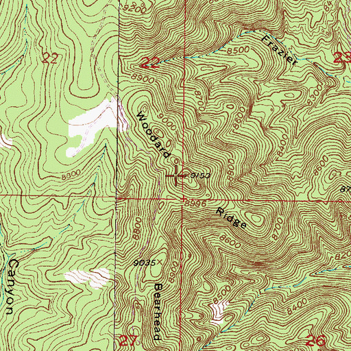Topographic Map of Woodard Ridge, NM