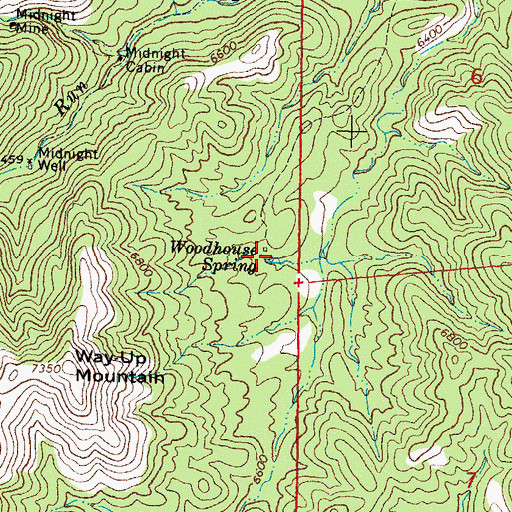 Topographic Map of Woodhouse Spring, NM