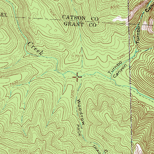 Topographic Map of Woodrow Canyon, NM