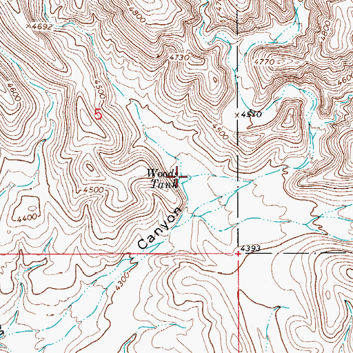 Topographic Map of Woods Tank, NM