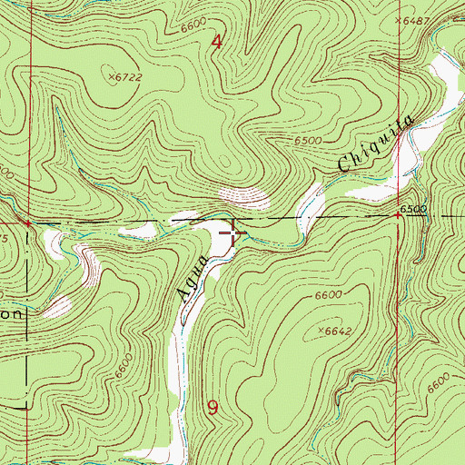 Topographic Map of Woodson Canyon, NM