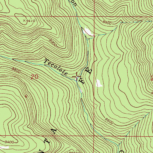 Topographic Map of Wright Canyon, NM