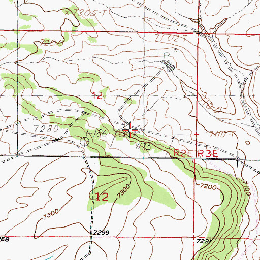 Topographic Map of Wright Place, NM
