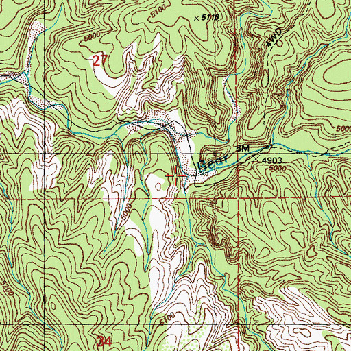 Topographic Map of Y L Canyon, NM