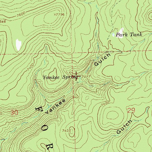 Topographic Map of Yankee Spring, NM