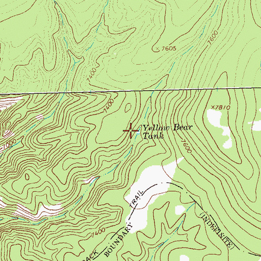 Topographic Map of Yellow Bear Tank, NM