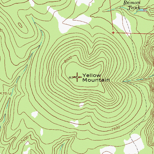 Topographic Map of Yellow Mountain, NM