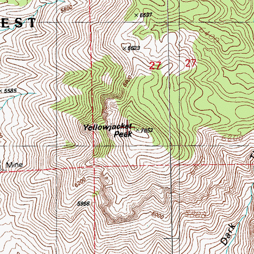 Topographic Map of Yellowjacket Peak, NM