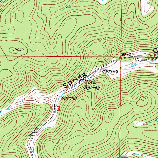 Topographic Map of York Spring, NM