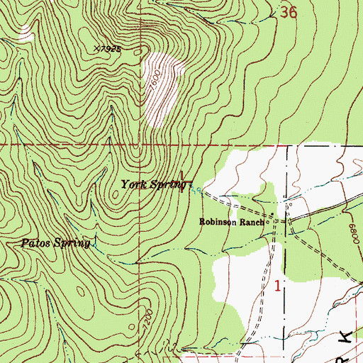 Topographic Map of York Spring, NM
