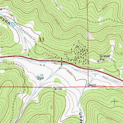 Topographic Map of Young Canyon, NM