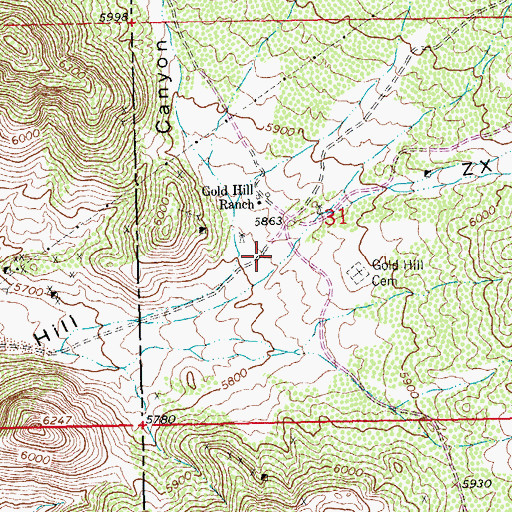 Topographic Map of Z X Canyon, NM