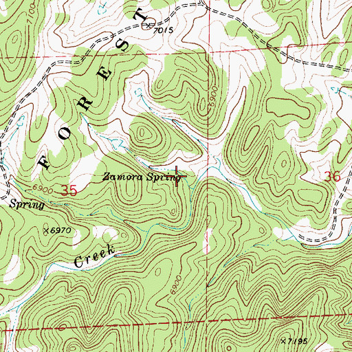 Topographic Map of Zamora Spring, NM