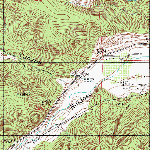 Topographic Map of Silva Canyon, NM