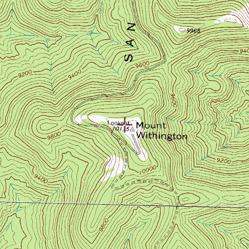 Topographic Map of Mount Withington, NM