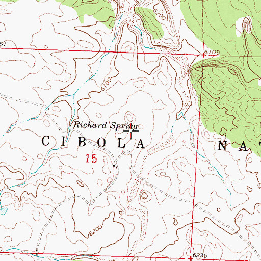 Topographic Map of Alamo Navajo Reservation (historical), NM